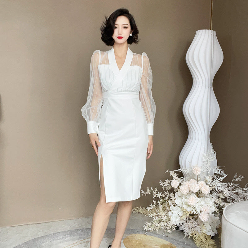 Women's French Slim Fitting Mesh Patchwork Dress